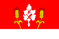 Flag of Čavisov