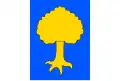 Flag of Černovice