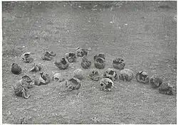 Remains exhumed in Ljuboten