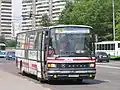 Setra bus