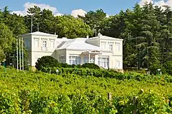 Natalie's summer villa in Smederevo, Serbia surrounded by vineyards