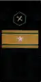 знак различия мпс 1979