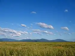 Landscape in Chernigovsky District
