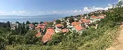 Dolno Konjsko