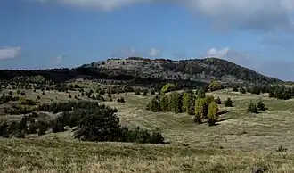 A view of Plana