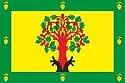 The flag of the municipal district of Tsivilsk