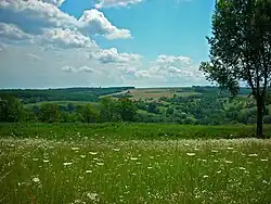 Kholodnyi Yar National Nature Park