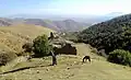 View of Neghutsi Vank and Arzakan in the background