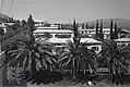 Beit Alfa 1945