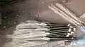Brooms made of this tree, being sold in Hosur, Tamil Nadu, India.