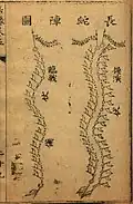 Long snake formation