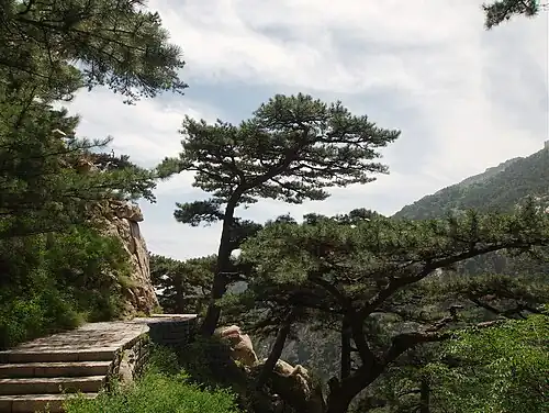 In Tai'an, Shandong