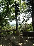 The top