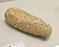 stone implement（ICP） kept at Kyoto University Museum