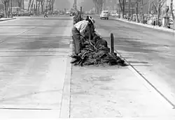 Removing the original cactus-themed lawn