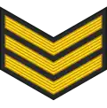 Petty officer (Namibian Navy)[13]