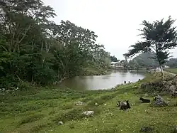Dato Rua, Fohorem