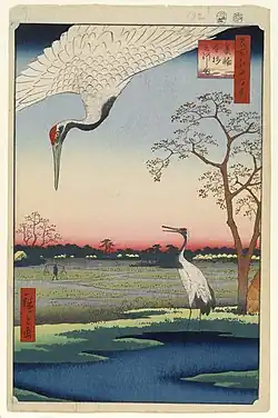 One Hundred Famous Views of Edo, 1857 Hiroshige. Until 19c there was a wintering site for the cranes in the paddy fields, which is now completely urbanized as a part of Tokyo metropolis.