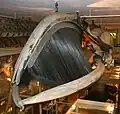 Skeleton of a right whale suspended from the second floor ceiling of the museum
