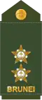 Leftenan (Royal Brunei Land Force)[17]