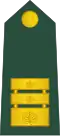 Podpolkovnik[16] (Slovenian Ground Force)