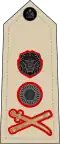 General (Malawian Army)