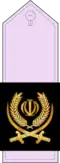 Islamic Republic of Iran Air Defense Force insignia