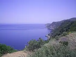 scene