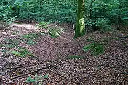 A trench near the Loup well.