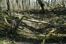 The location of the well.