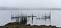 Native American fish trap near Eastport, Maine USA