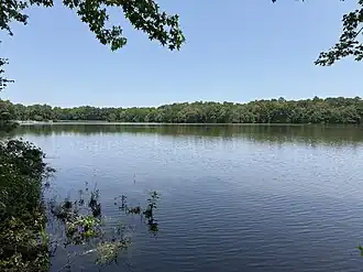 Pond