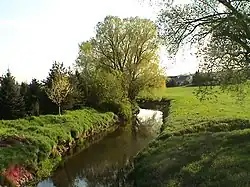 In Neukirchen before the dyke was built in 2005