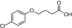 Skeletal formula of 4-(4-chlorophenoxy)butanoic acid