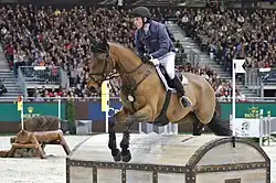 A bay horse jumping a large pirate chest