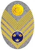 Hat badge (Mössmärke m/1914) for a colonel in the army on fur hat (pälsmössa m/1909-14).