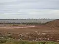 Cotton fields between Toorale National Park and North Bourke (2021).