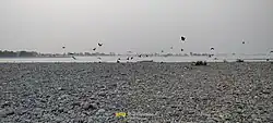 Birds fly above the pebble-covered bank of the Indus River on a misty morning in Hund village, highlighting the river’s natural beauty and ecological importance.