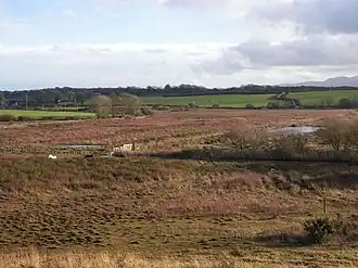 A view across Cors Bodeilio, Anglesey, Wales