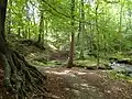 Årslev Forest