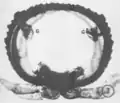 Ozadenes (G) on the inside of a millipede segment