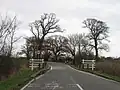 East Anglian elms (all the trees here), Abbots Ripton, Huntingdonshire (2011)[27][28]
