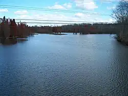 View of Abbotts Creek where it becomes High Rock Lake, from Hwy 47.