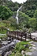 The bridge and falls