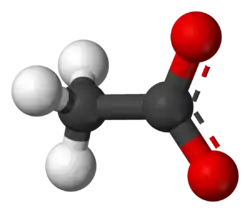 Ball-and-stick model of the acetate anion