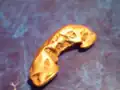 A gold nugget from the Blue Ribbon Mine in Alaska