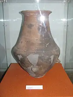 Offering pot from a Scythian grave from Alba Iulia, Romania, 6th century BC. In display at National Museum of the Union, Alba Iulia.