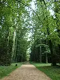 A park alley