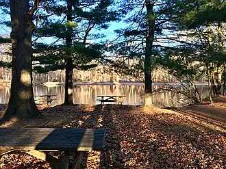 Allen Brook Pond in Wharton Brook SP at dusk.