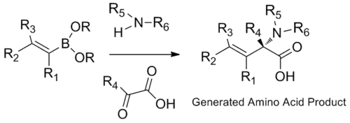 Alpha amino acid synthesis